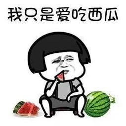 吃瓜系统搞笑沙雕小说娱乐圈,吃瓜系统搞笑沙雕日常